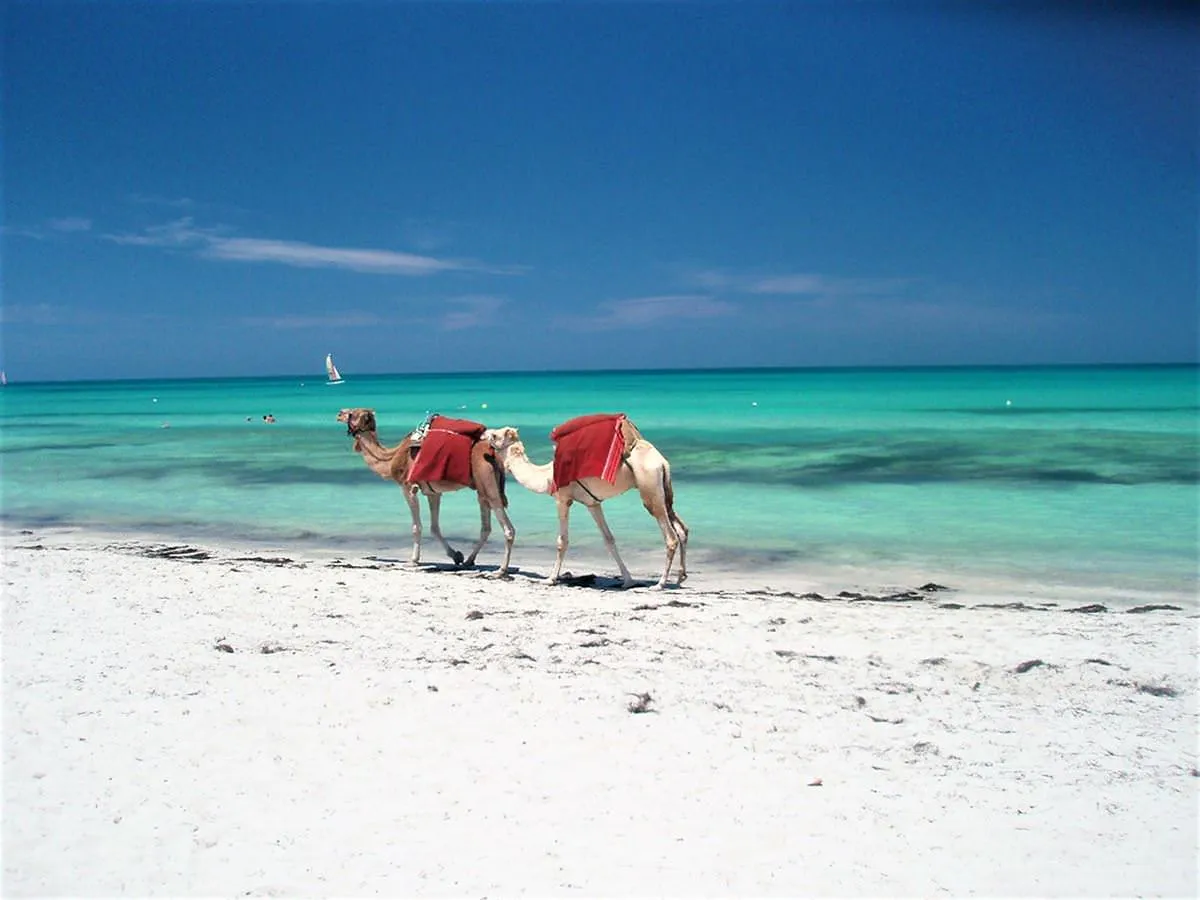 Djerba Playa Ruta Túnez