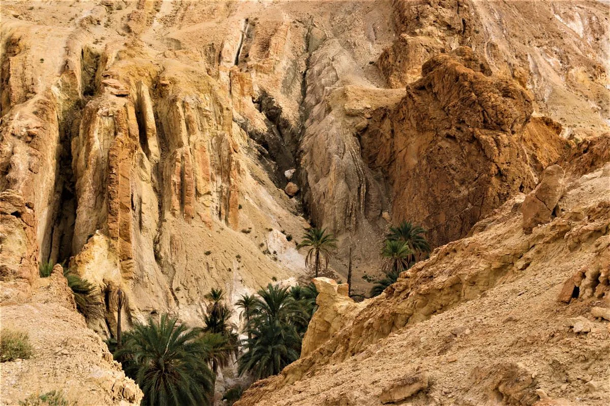 Chebika Montaña Ruta Túnez